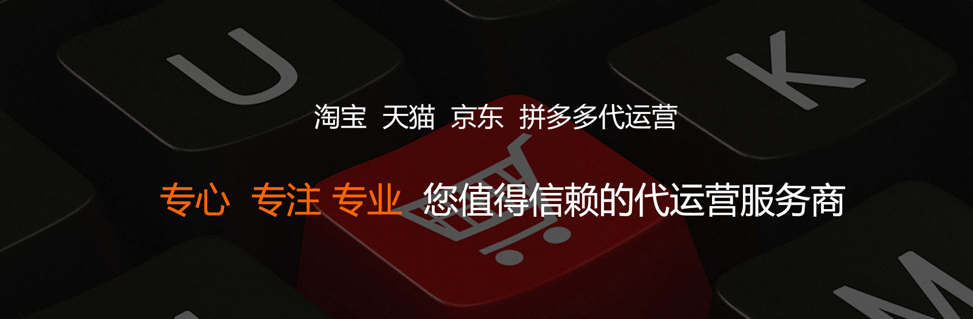 沈陽藍(lán)德科(kē)技(jì)電(diàn)商運營