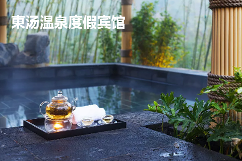 東(dōng)湯溫泉- 山(shān)青水(shuǐ)秀度假賓館