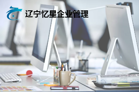 遼甯憶星企業(yè)管理(lǐ)