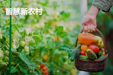 智慧新農(nóng)村(cūn)