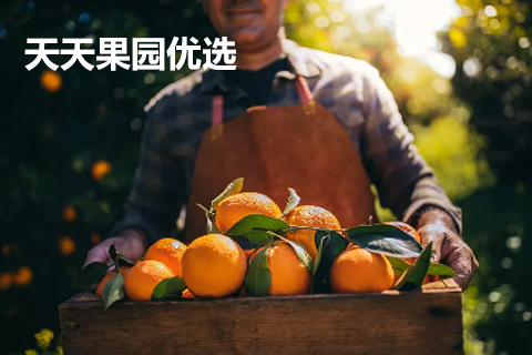 天天果園優選